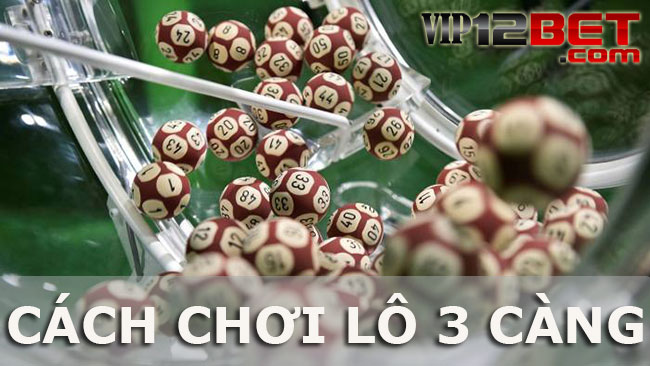 Lô 3 càng là gì – 1 điểm lô 3 càng bao nhiêu tiền và ăn bao nhiêu?